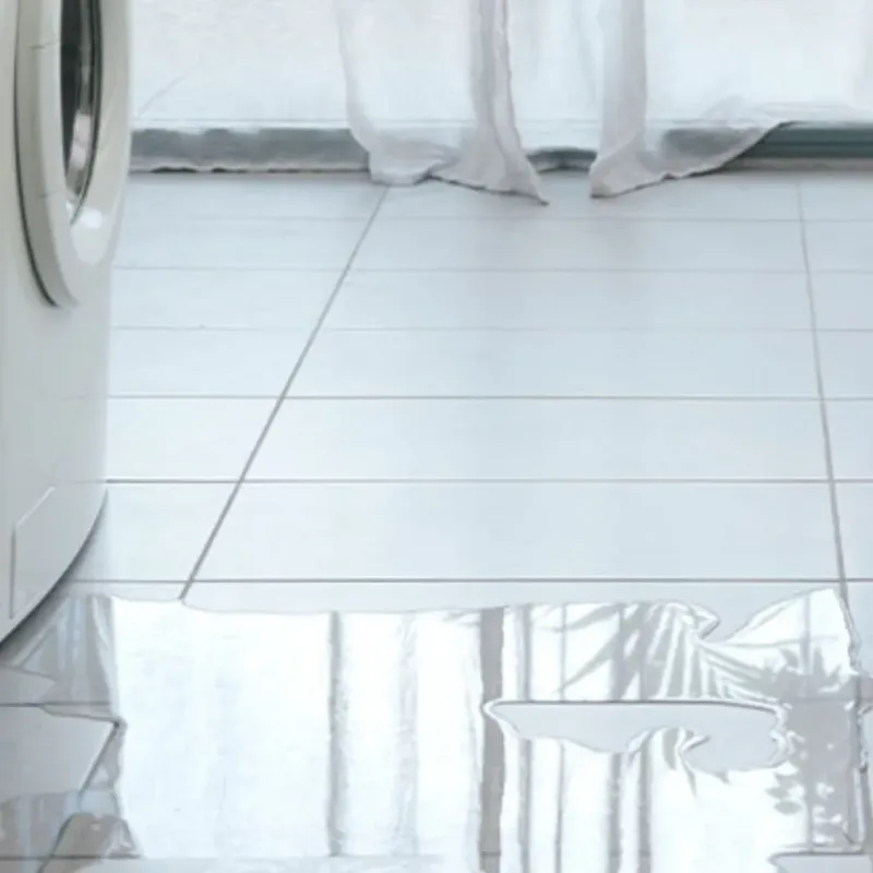 Appliance Leak Cleanup in Brunswick, MD
