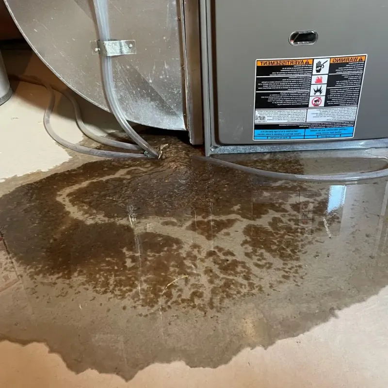Pipe Burst and Leak Restoration in Brunswick, MD